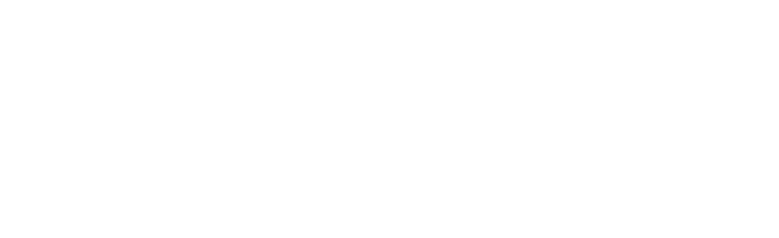 Casiny casino logo